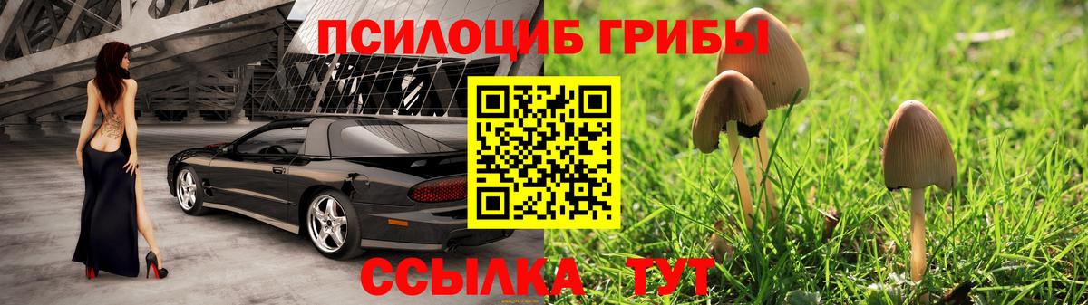 Луга  Галлюциногенные грибы ЛСД  Псилоцибиновые грибы Psilocybe  Вход с VPN 