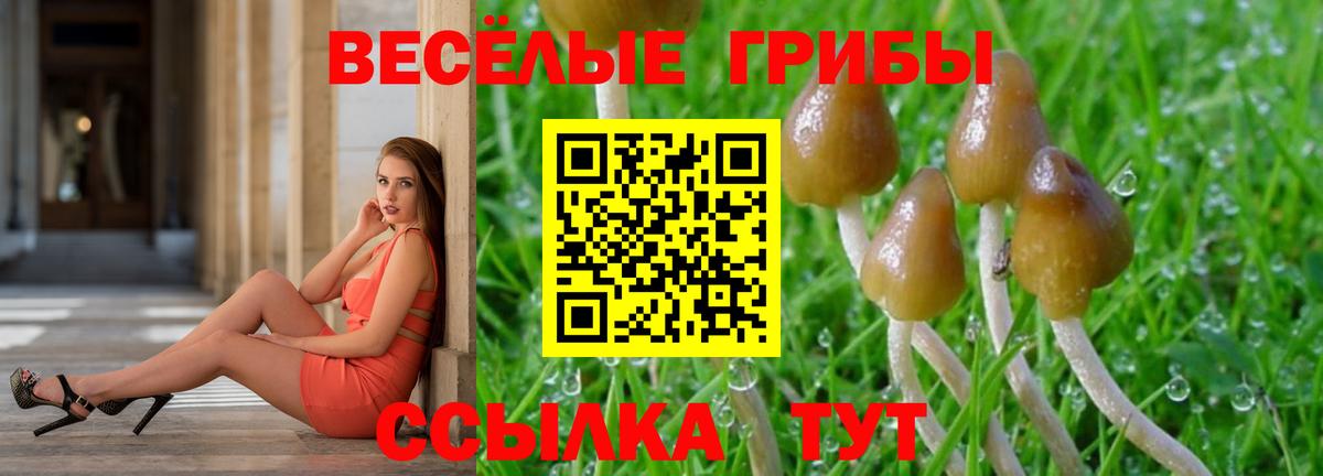 Псилоцибиновые грибы ЛСД Луга